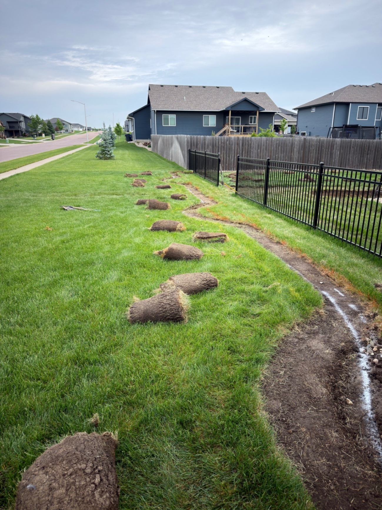 During — sod cut and rolled along the property line as we shaped the new extended landscape bed