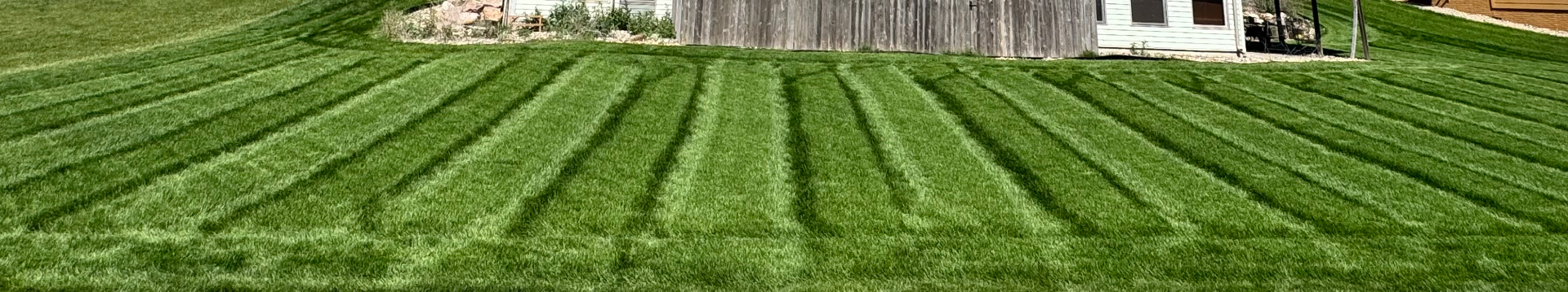 Wide mowing stripes across a large residential lawn