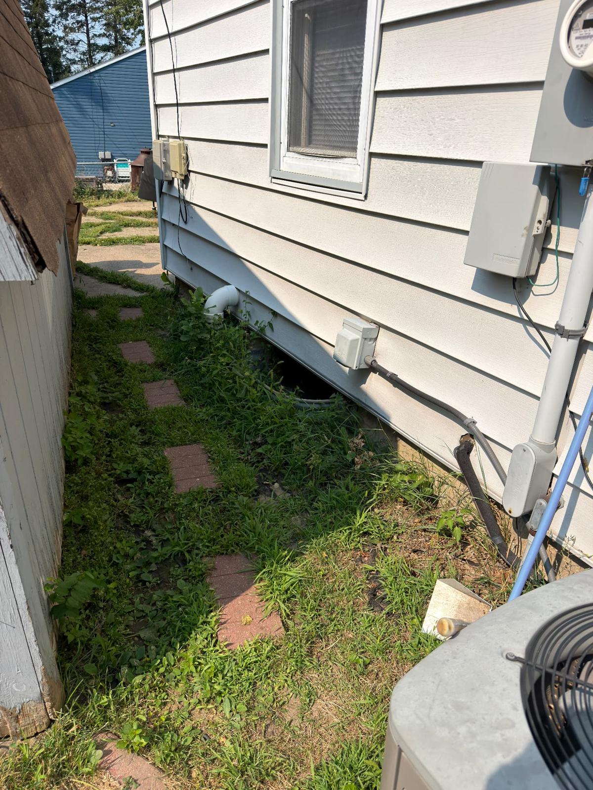 Before — narrow side yard between the house and shed choked with weeds and settled grade running toward the foundation