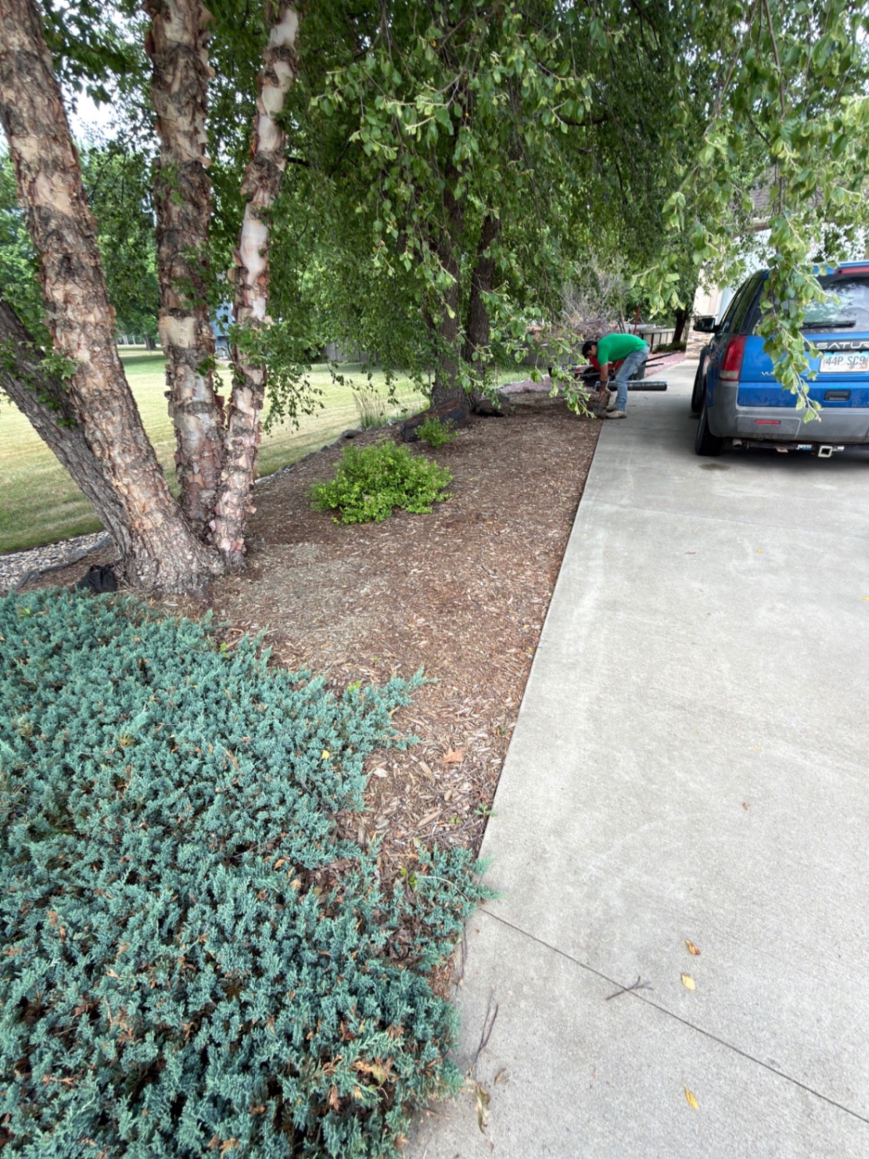 Before — long mulch bed running between the driveway and lawn with bare patches and faded mulch