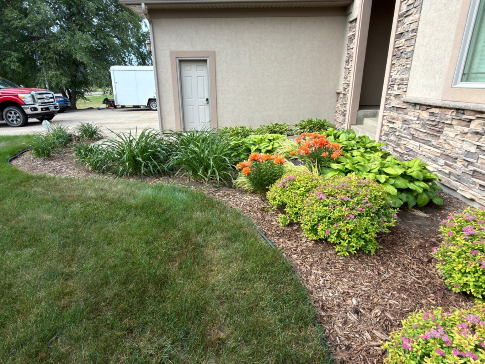 Before — front entry mulch bed packed with daylilies, hostas, and spirea before being reset in river rock