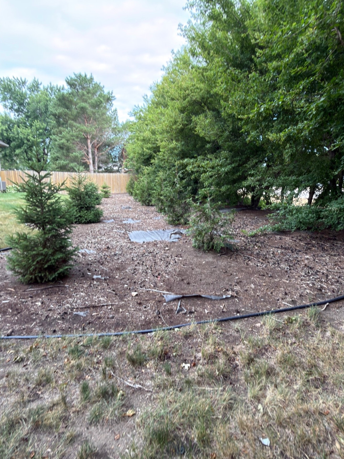 Before — backyard bed with old mulch and plantings before being cleared and reset in river rock