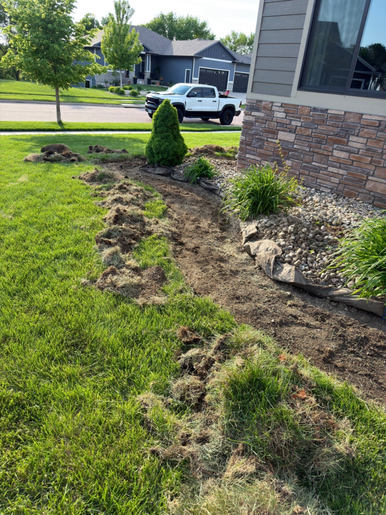 During — front bed line cut and stripped, prepping to extend and redesign the landscape edging