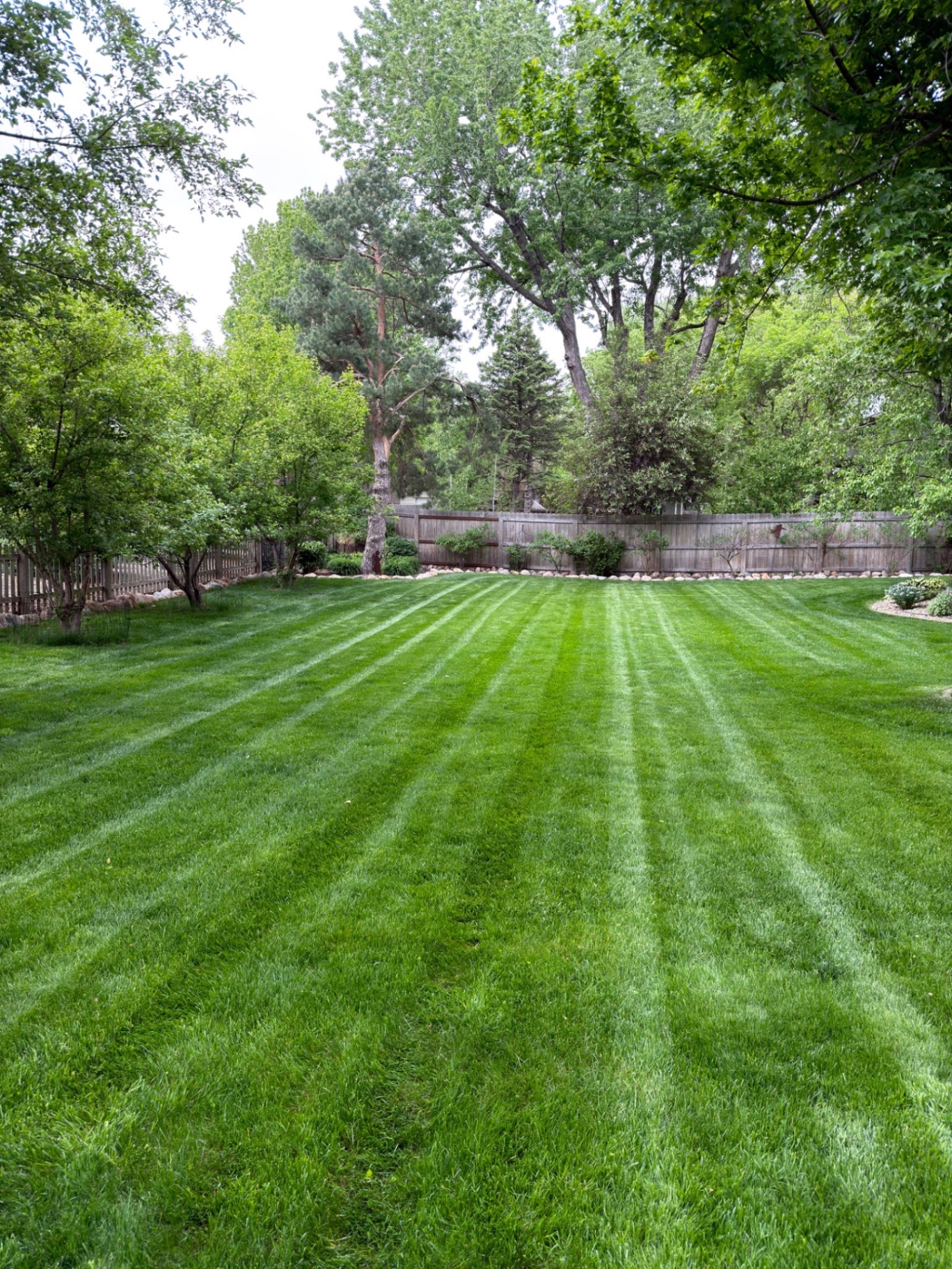 Backyard lawn with clean mowing stripes and tidy rock-bordered tree line