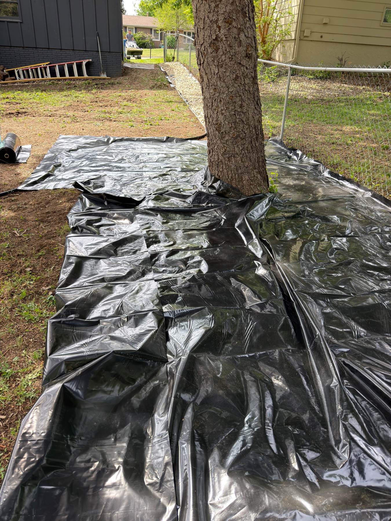 During — Edging tarps laid around tree trunk before rock