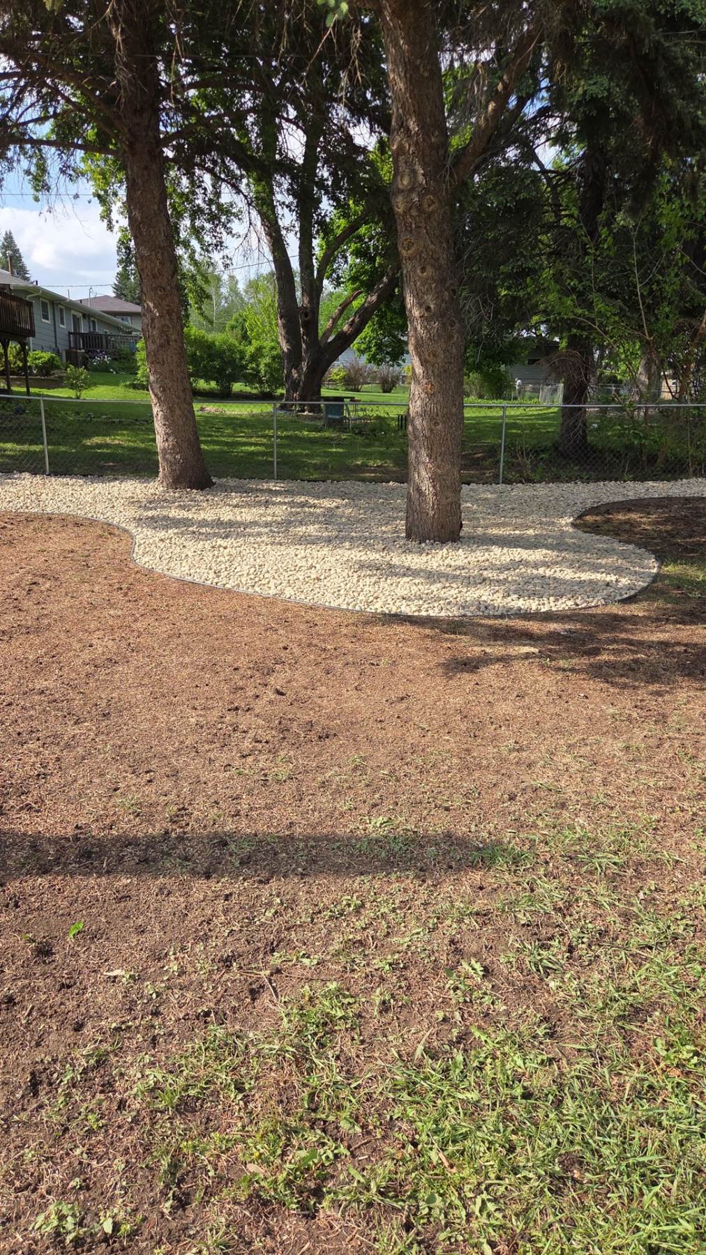After — finished curved rock bed under the trees with freshly seeded yard